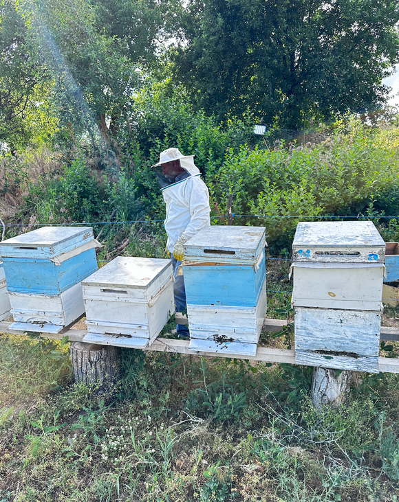 Ekran resmi 2024 04 02 02